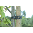 Kép 1/2 - Nortene Tree Tie fatörzsrögzítő műanyag bilincs 55cm
