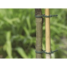 Műanyag törzskötöző, rögzítő zöld 170mm, 50db/csomag