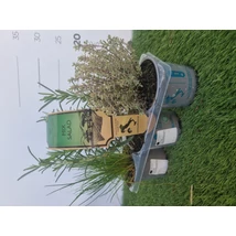Fűszernövény mix Aroma Riserva Albenga fogantyúval 3db/pakk D9