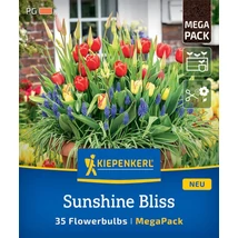 Kiepenkerl Mega-Pack Sunshine Bliss virághagyma 35db