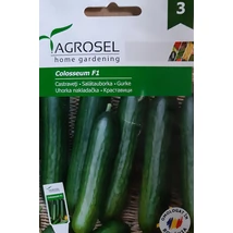 Agrosel Colosseum F1salátauborka 20szem