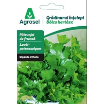 Agrosel levélpetrezselyem Gigante d Italia bölcs kertész  3,50g