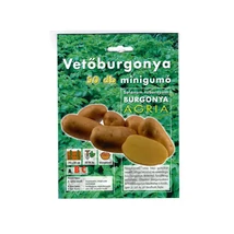 Vetőburgonya Corazon Minigumó 50db/cs