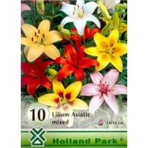 Liliom Asiatic mixed 5db-os