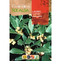 Rocalba Babér 4 szem