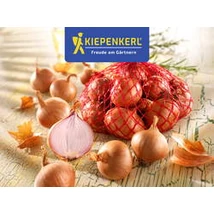 Kiepenkerl Bio Lilahagyma Red Baron