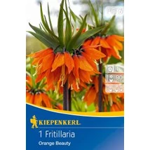 Kiepenkerl Fritillaria Imperialis Orange Beauty császárkorona virághagyma 1db Kiepenkerl Fritillaria Imperialis Orange Beauty császárkorona virághagyma 1db