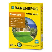 Barenbrug Bermuda Csillagpázsit 0,5kg