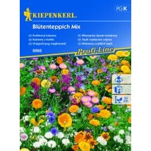 Kiepenkerl Virágszőnyeg vetőmag keverék
