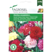 Agrosel Chabaud szegfű színkeverék 0,5g