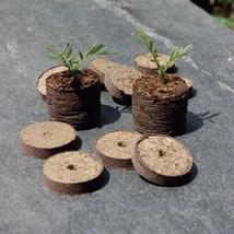 Nortene Coco-Tab Dehidratált kókuszrosttabletta, ültetőkorong 20db/csomag, 4 cm átmérő