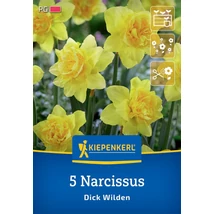 Kiepenkerl Nárcisz Dick Wilden virághagymák 5db Kiepenkerl Nárcisz Dick Wilden virághagymák 5db