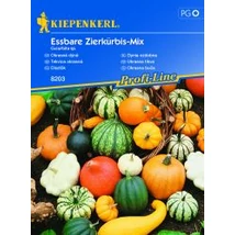 Kiepenkerl Essabre zierkürbis-mix dísztök ehető vetőmag