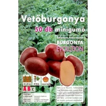 Vetőburgonya Evolution Minigumó 50db/cs