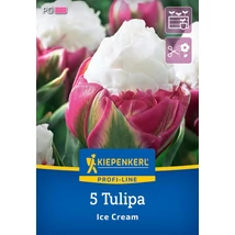 Kiepenkerl Profi-Line Ice Cream tulipán virághagymák 5db