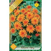 Dália gumó Border 1-db