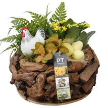 Tavaszi, húsvéti dekoráció növényekkel 21/25cm