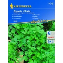Kiepenkerl Gigante d' Italia petrezselyem vetőmag