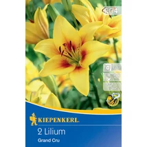 Kiepenkerl Asiatische Liliom Grand Cru 2db Kiepenkerl Asiatische Liliom Grand Cru 2db