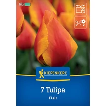 Kiepenkerl Flair korai tulipánhagymák 7db Kiepenkerl Flair korai tulipánhagymák 7db