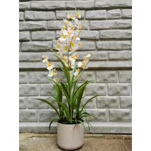 Selyemvirág orchidea,oncidium 4ágú 83cm