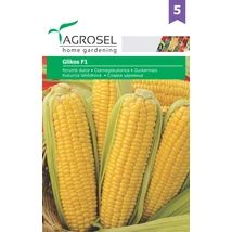 Agrosel csemegekukorica Glikos F1 60 szem