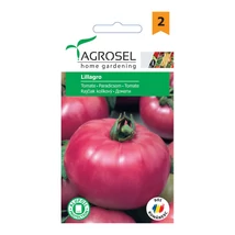Agrosel Lillagro paradicsom ~50 szem