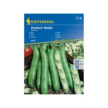 Kiepenkerl Lóbab 