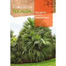 Rocalba Törpe lószőrpálma 5 db