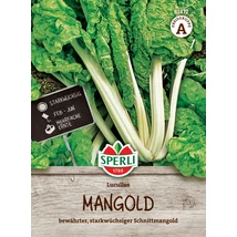 Kiepenkerl Mángold Mangoldsamen Lucullus
