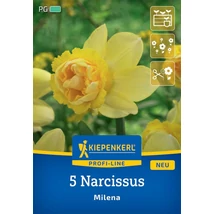 Kiepenkerl Nárcisz Milena virághagymák 5db Kiepenkerl Nárcisz Milena virághagymák 5db