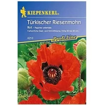 Kiepenkerl Olympiafeuer török óriáspipacs vetőmag