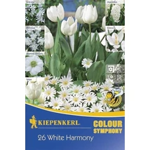 Kiepenkerl Colour Symphony White Harmony virághagyma összeállítás 26db