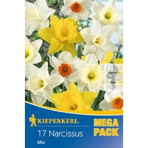 Kiepenkerl Narcissus Großkroniger Mix vegyes nagyvirágú nárciszhagymák MEGA PACK 17db Kiepenkerl Narcissus Großkroniger Mix vegyes nagyvirágú nárciszhagymák MEGA PACK 17db