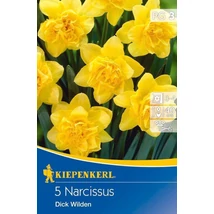 Kiepenkerl Dick Wilden teltvirágú nárciszhagymák 5db Kiepenkerl Dick Wilden teltvirágú nárciszhagymák 5db