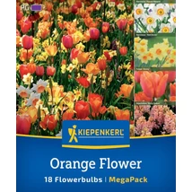 Kiepenkerl Orange Flower MEGA PACK 18db