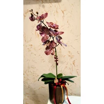 Orchidea mű, kerámia kaspóban 1 ágas ,mályva