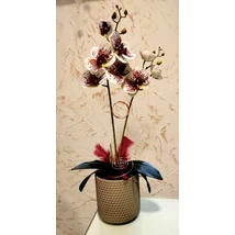 Orchidea mű, kerámia kaspóban,2 ágas bordó -fehér
