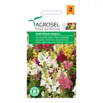Agrosel Törpe Oroszlánszáj 1g