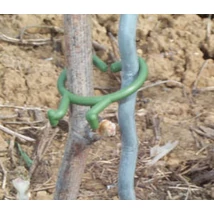 Növény rögzítő clip 20mm zöld