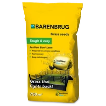 Barenbrug Resilient Blue Lawn fűmagkeverék 15kg