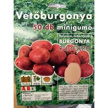 Vetőburgonya rudolph Minigumó 50db/cs