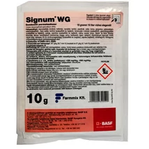 Signum WG gombaölöszer 10g