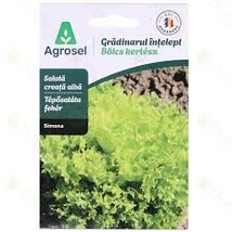 Agrosel  Bölcs kertész Simona tépősaláta 1,50g