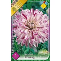 Dália gumó Smokey 1-db