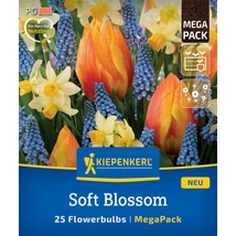 Kiepenkerl Mega-Pack Soft Blossom virághagyma mix 25db
