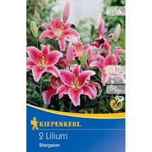 Kiepenkerl Asiatische Stargazer 2db Kiepenkerl Asiatische Stargazer 2db