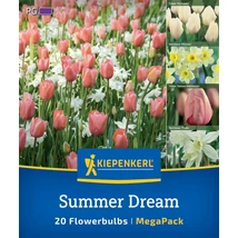 Kiepenkerl Summer Drem MEGA PACK 20db