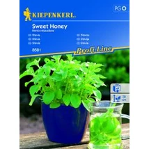 Kiepenkerl Sweet Honey stevia