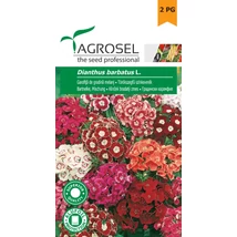 Agrosel Törökszegfű Virágmag 1g